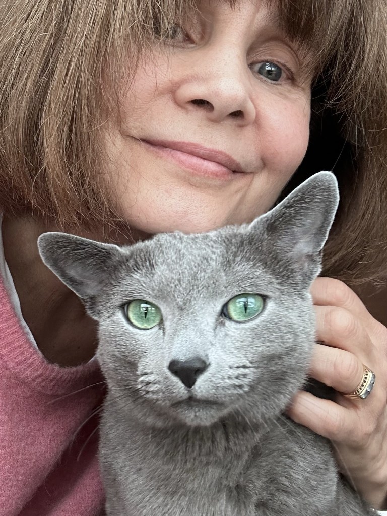 Russian Blue cat cuddling with breeder.