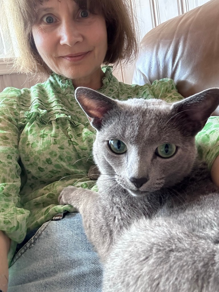 Russian Blue cat cuddling in owner’s lap, showing the affectionate personality of the breed