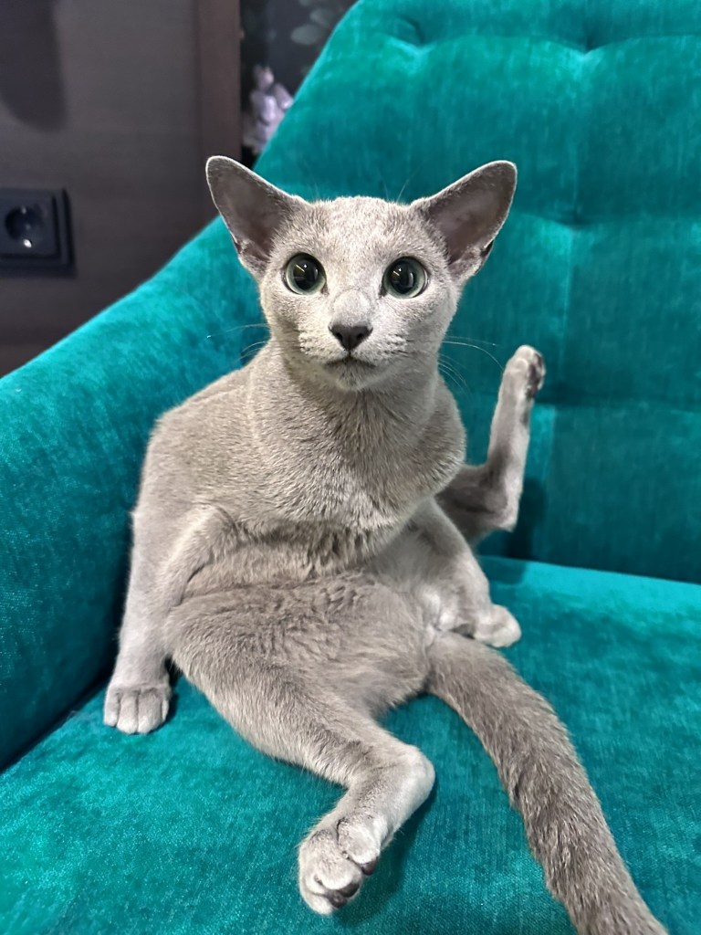 CC at the hotel the night before the show, giving herself a bath