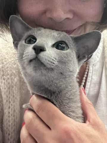 so proud of CC, she's so sweet and relaxed at the show, here receiving a kiss