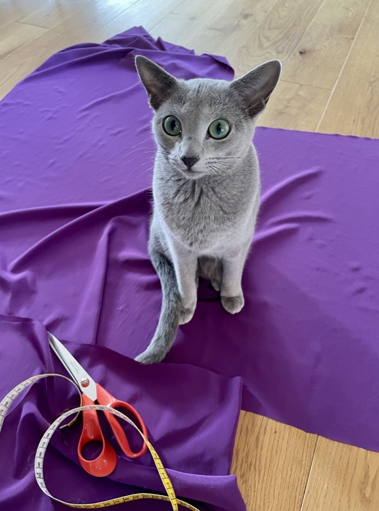 Russian Blue-katt som sitter midt på lilla stoff ved siden av saks og målebånd.