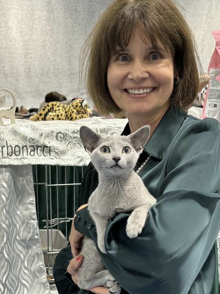 Breeder Anne Marie at Furbonacci holding Russian Blue kitten Hope at the BURAK Cat Show.