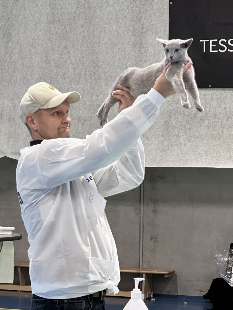Stewart lifting Peach during the Best in Show panel at the BURAK Cat Show.